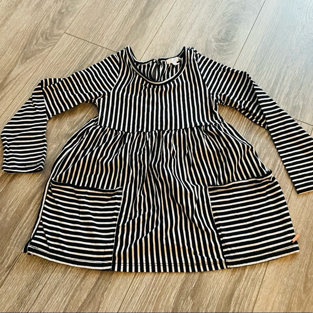 Size 6 tahari shirt